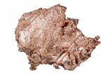 Natural, Native Copper Formation - Michigan #204904-1